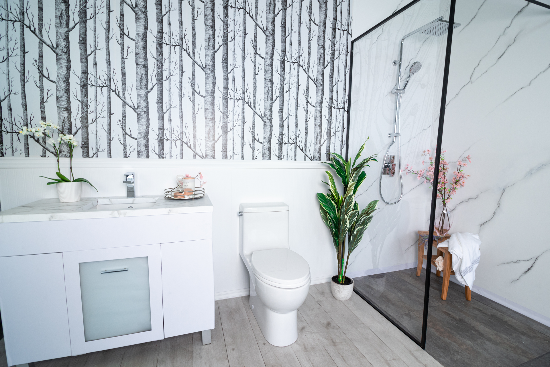 Gider Açmada Kameralı Cihazlarla Kırmadan Tıkanıklık Tespiti